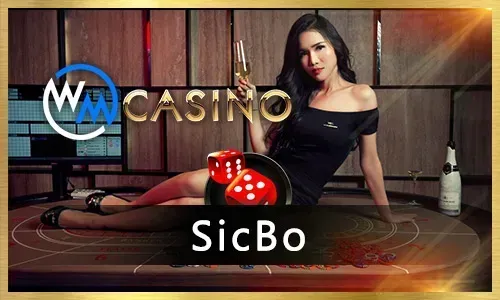 Online Slots and Casino Games
